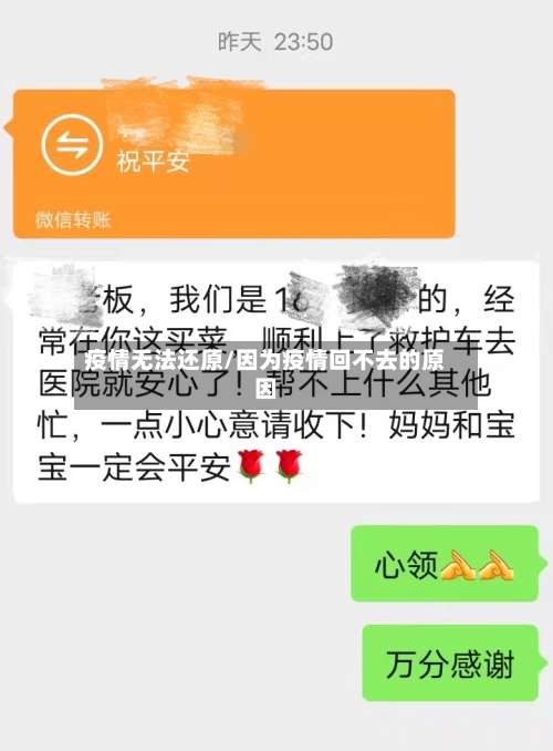 疫情无法还原/因为疫情回不去的原因-第2张图片