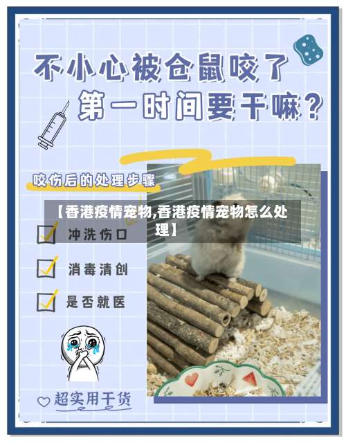 【香港疫情宠物,香港疫情宠物怎么处理】-第2张图片