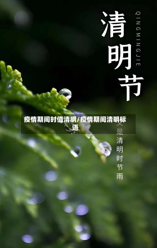 疫情期间时值清明/疫情期间清明标语