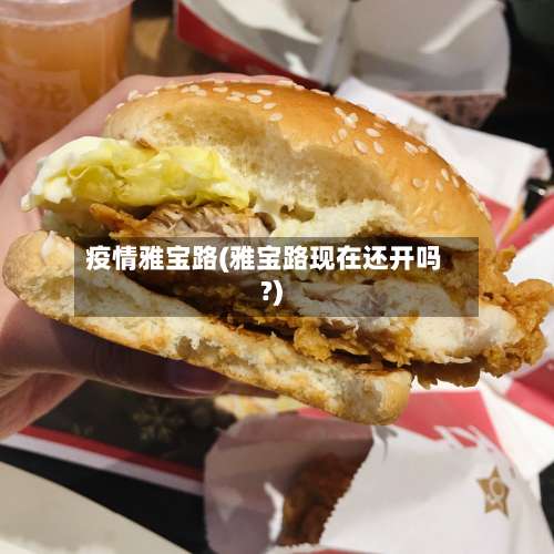 疫情雅宝路(雅宝路现在还开吗?)-第2张图片