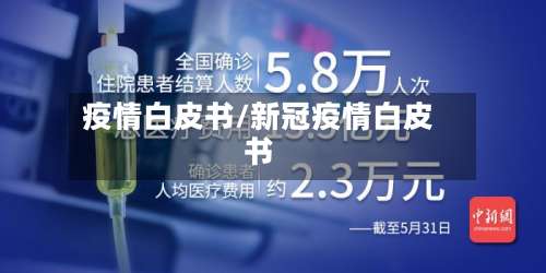 疫情白皮书/新冠疫情白皮书