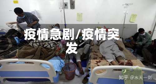 疫情急剧/疫情突发-第2张图片