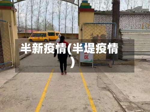 半新疫情(半堤疫情)