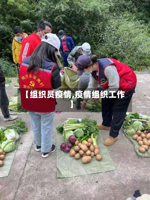 【组织员疫情,疫情组织工作】