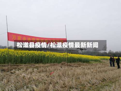 松滋县疫情/松滋疫情最新新闻-第2张图片