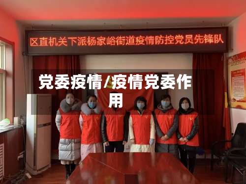 党委疫情/疫情党委作用