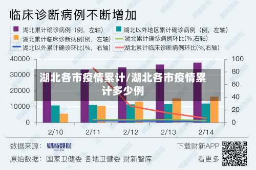 湖北各市疫情累计/湖北各市疫情累计多少例
