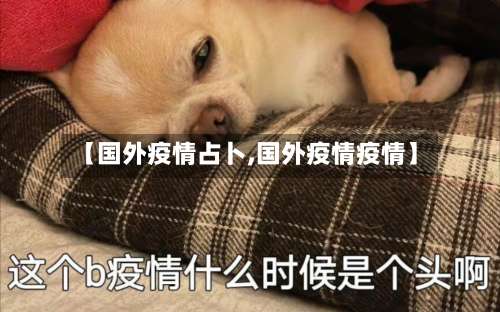 【国外疫情占卜,国外疫情疫情】-第2张图片