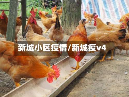 新城小区疫情/新城疫v4