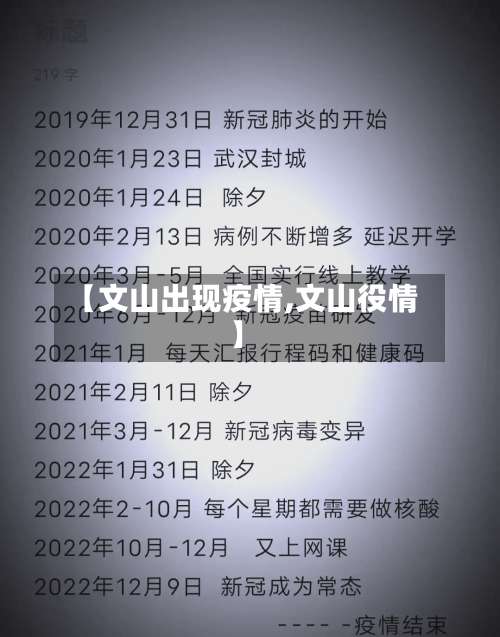 【文山出现疫情,文山役情】-第2张图片