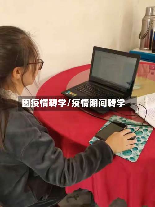 因疫情转学/疫情期间转学