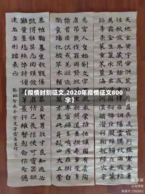 【疫情时刻征文,2020年疫情征文800字】
