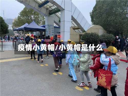 疫情小黄帽/小黄帽是什么-第2张图片