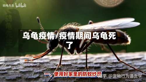 乌龟疫情/疫情期间乌龟死了-第2张图片