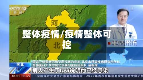 整体疫情/疫情整体可控-第2张图片