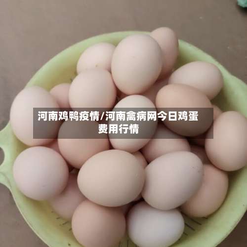 河南鸡鸭疫情/河南禽病网今日鸡蛋费用行情