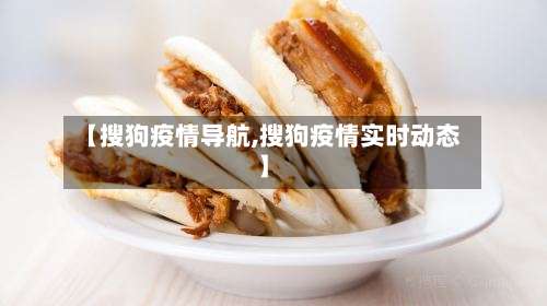 【搜狗疫情导航,搜狗疫情实时动态】-第2张图片