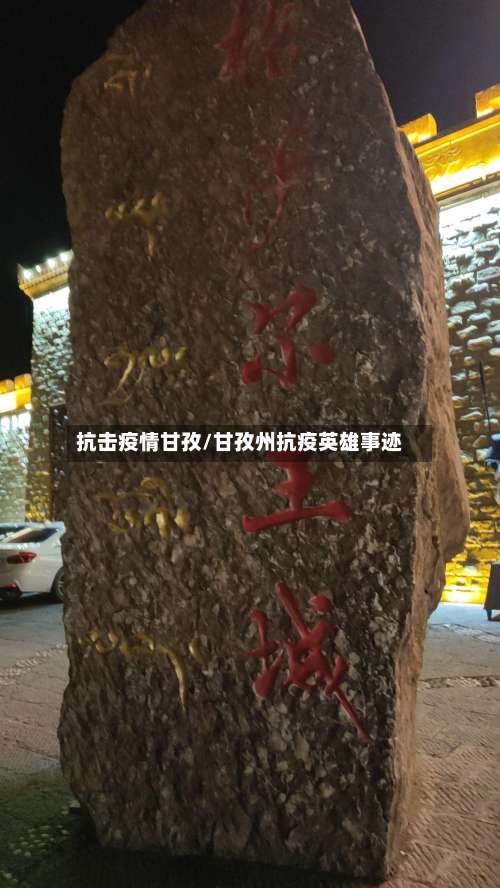 抗击疫情甘孜/甘孜州抗疫英雄事迹
