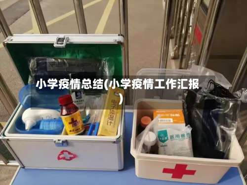 小学疫情总结(小学疫情工作汇报)