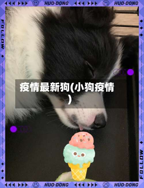 疫情最新狗(小狗疫情)-第3张图片