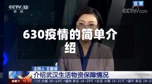 630疫情的简单介绍