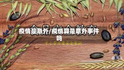 疫情是意外/疫情算是意外事件吗