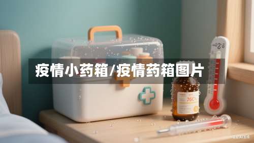 疫情小药箱/疫情药箱图片-第2张图片