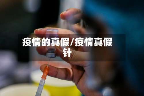 疫情的真假/疫情真假针