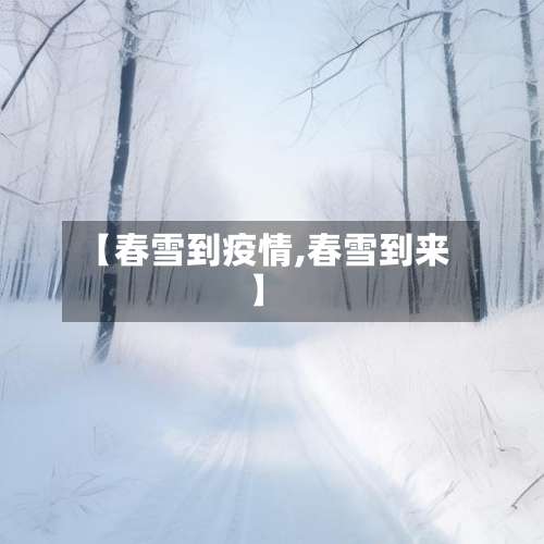【春雪到疫情,春雪到来】-第2张图片