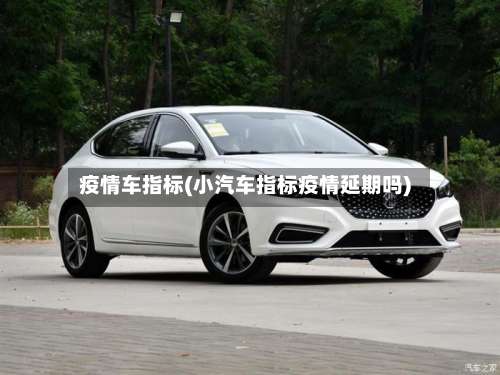 疫情车指标(小汽车指标疫情延期吗)
