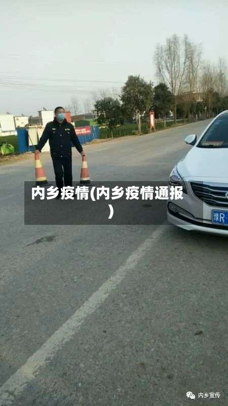 内乡疫情(内乡疫情通报)