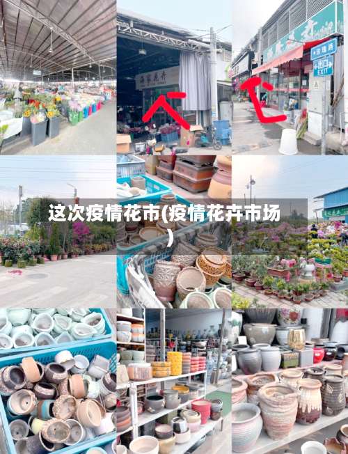 这次疫情花市(疫情花卉市场)