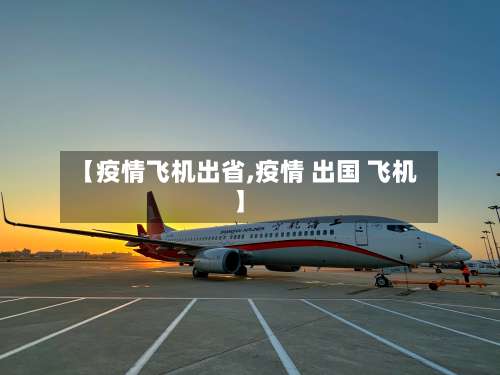 【疫情飞机出省,疫情 出国 飞机】