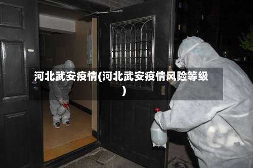 河北武安疫情(河北武安疫情风险等级)-第2张图片