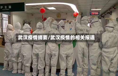 武汉疫情摘要/武汉疫情的相关报道