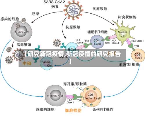 【研究新冠疫情,新冠疫情的研究报告】-第2张图片
