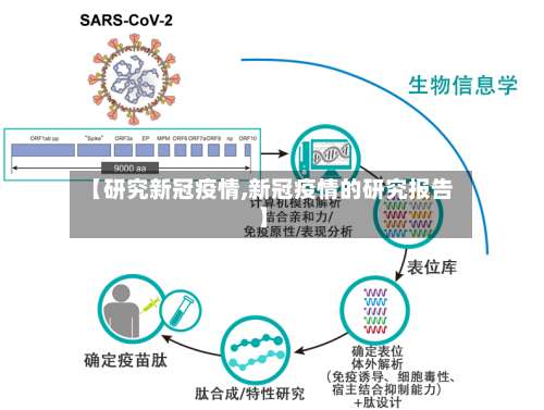 【研究新冠疫情,新冠疫情的研究报告】-第3张图片