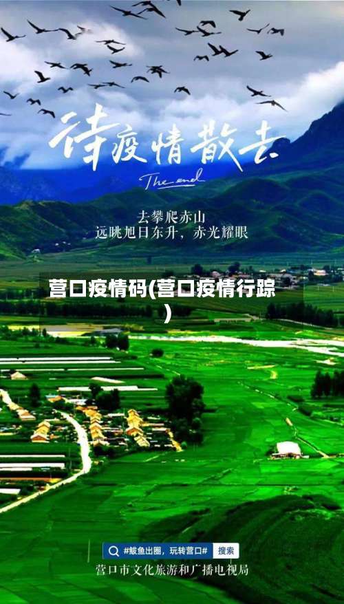 营口疫情码(营口疫情行踪)-第2张图片