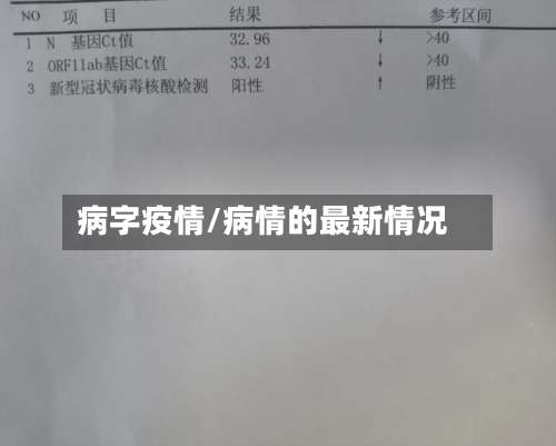 病字疫情/病情的最新情况