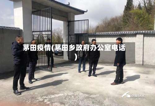 茅田疫情(茅田乡政府办公室电话)-第2张图片