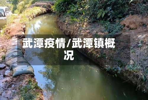 武潭疫情/武潭镇概况