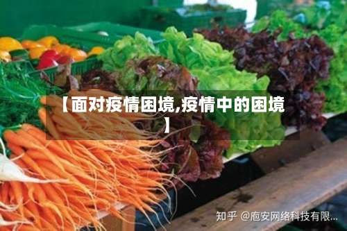【面对疫情困境,疫情中的困境】-第2张图片