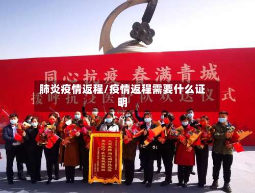 肺炎疫情返程/疫情返程需要什么证明