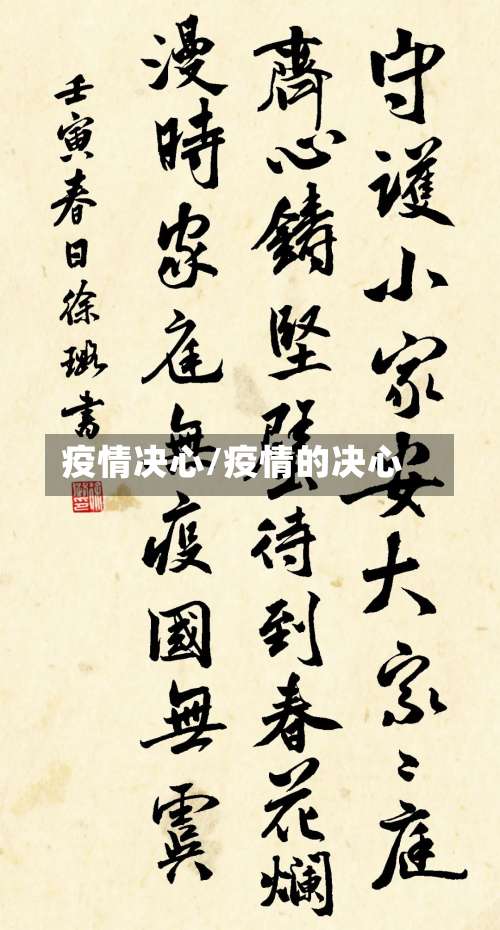 疫情决心/疫情的决心-第3张图片