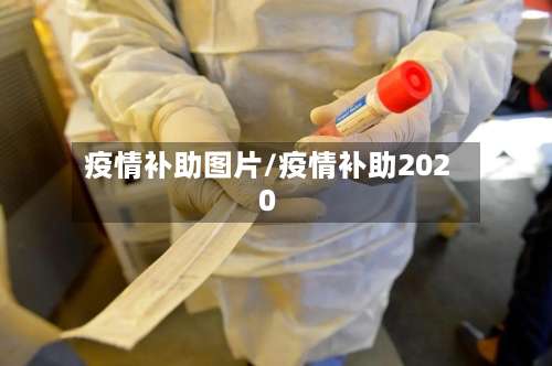 疫情补助图片/疫情补助2020-第3张图片
