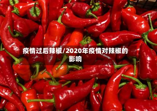 疫情过后辣椒/2020年疫情对辣椒的影响