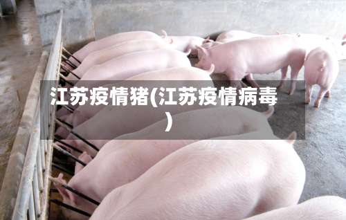 江苏疫情猪(江苏疫情病毒)-第3张图片