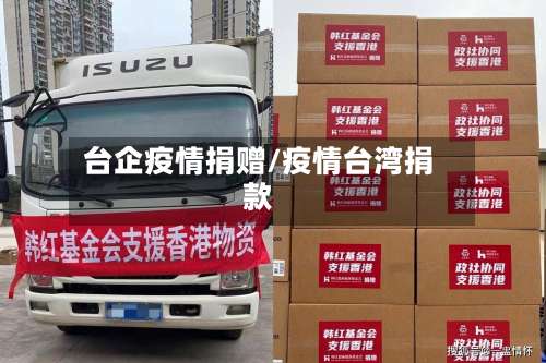 台企疫情捐赠/疫情台湾捐款