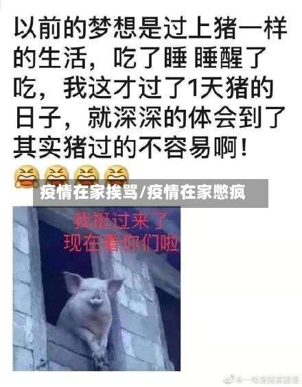 疫情在家挨骂/疫情在家憋疯