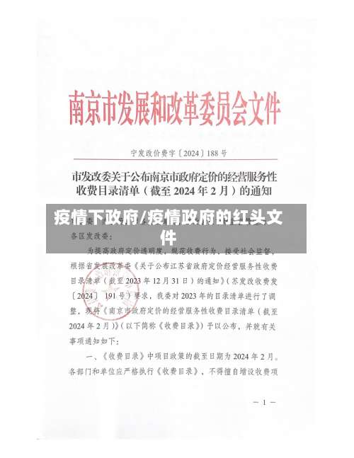 疫情下政府/疫情政府的红头文件-第2张图片